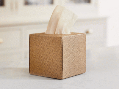 Bumboo Facial Tissue