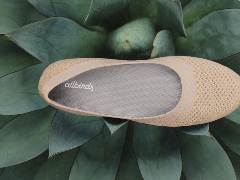 Sustainable shoes
