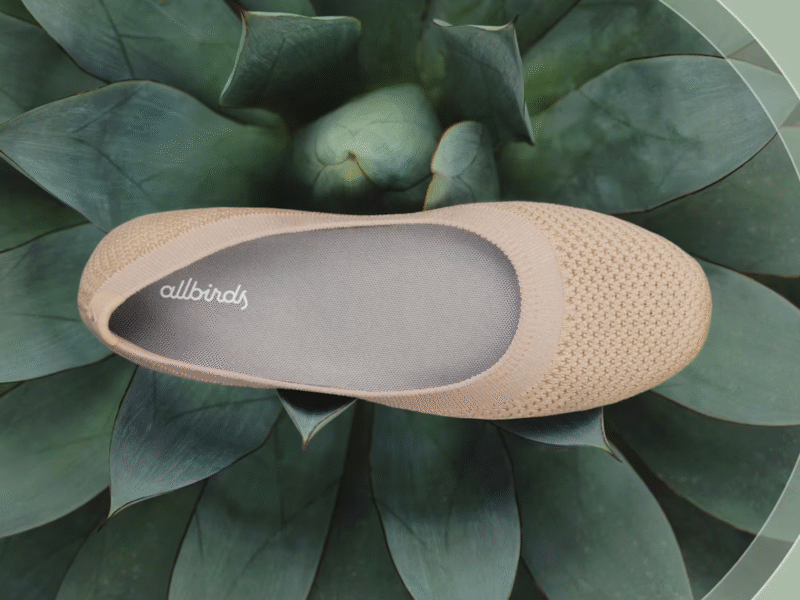 Sustainable shoes
