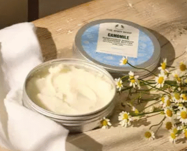 Body Shop Natural Personal Care Products