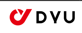 DYU eBike