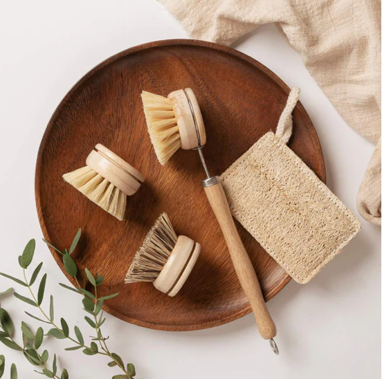 Jungle Culture Sustainable Dish Brushes