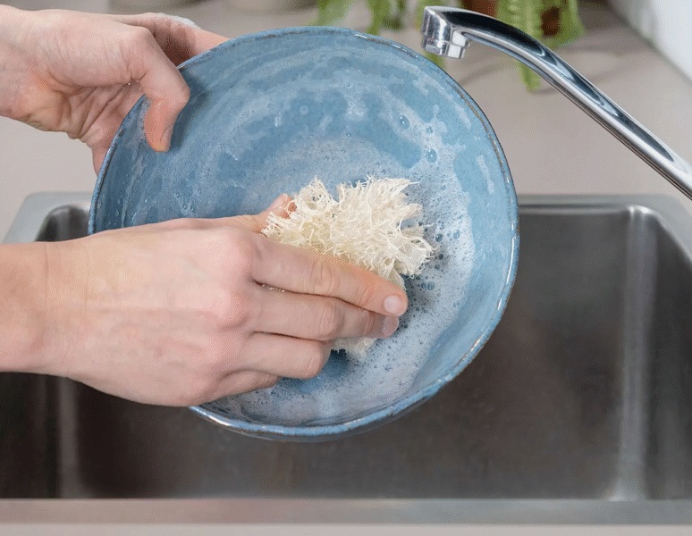 Loofah Dish Sponge