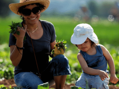 Sustainable Gardening