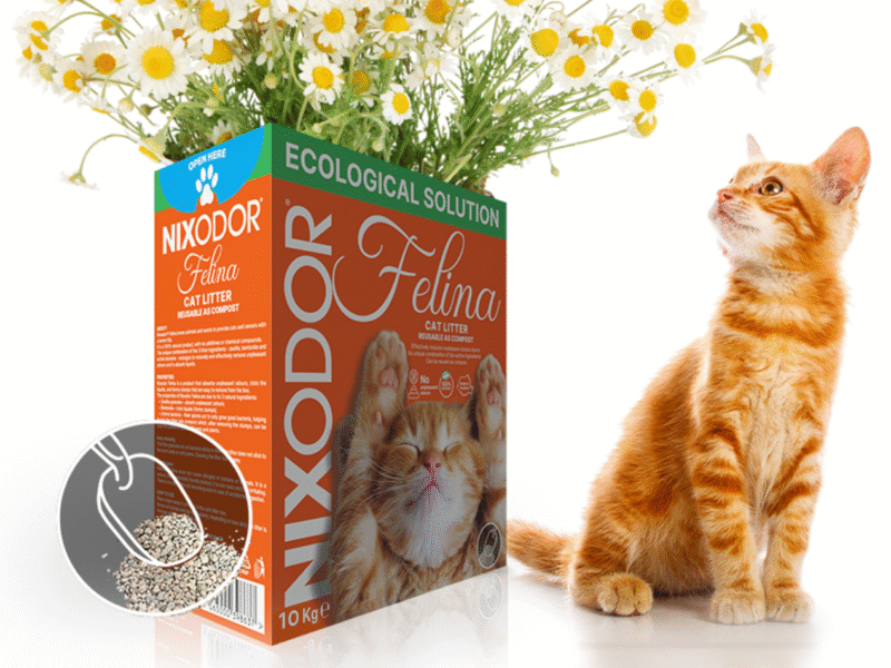 Cat Litter