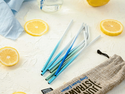 Stainless Steel Reusable Straw Set