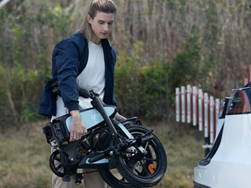 DYU eBike