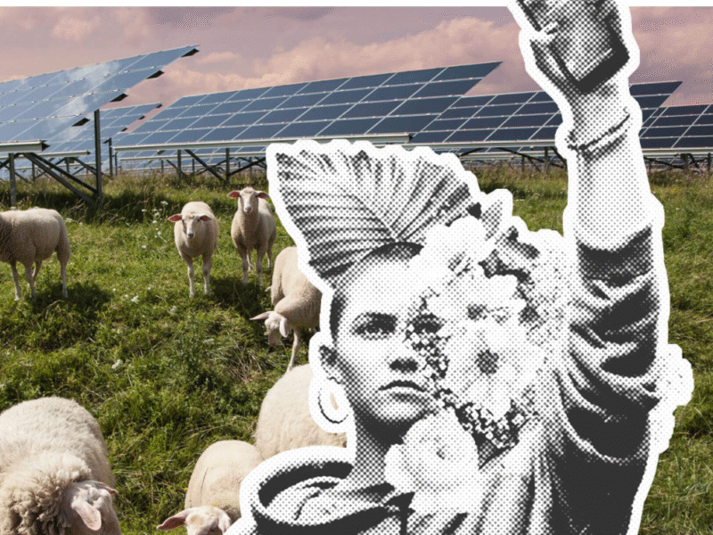 Sustainable Mobile Phone Plans