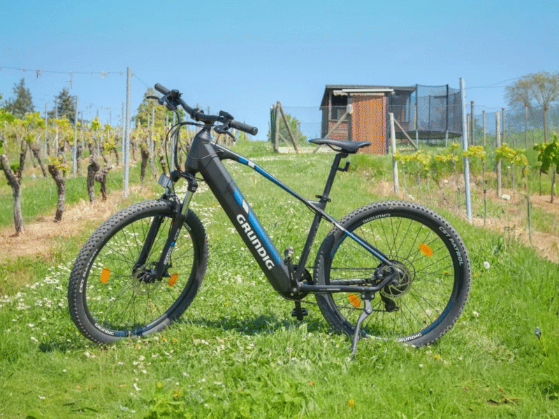GRUNDIG E275 ebike