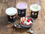 Brown Cow Organics Yogurt Subscription, Organic (1 x 450g)