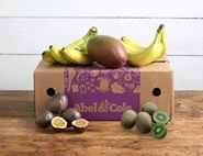 The Organic Tropical Fruit Box