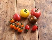 English Mixed Heirloom Tomatoes, Organic (500g)