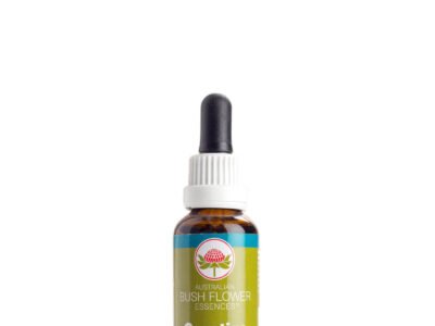 Creative Bush Flower Essence 30ml