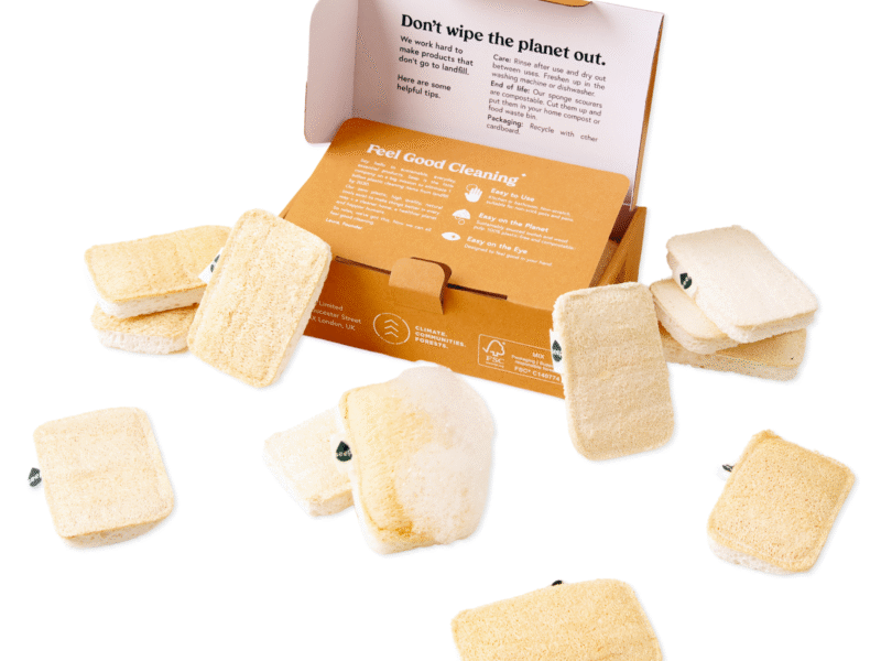 Eco Sponge Scourers (1 year supply - 12 sponges)