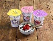 Coconut Milk Yogurt Alternative Subscription, Organic, COCOS (1 x 400g)