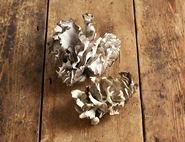 Maitake Mushrooms, Organic (125g)