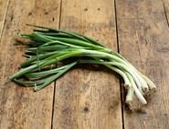 Spring Onions, Organic