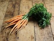 Bunched Carrots, Organic