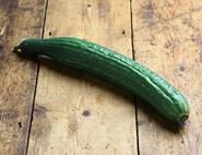 Cucumber, Organic (each)