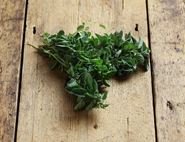 Oregano, Organic (20g)