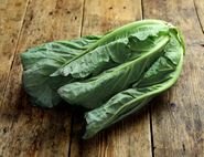 Spring Greens, Organic