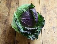January King Cabbage, Organic