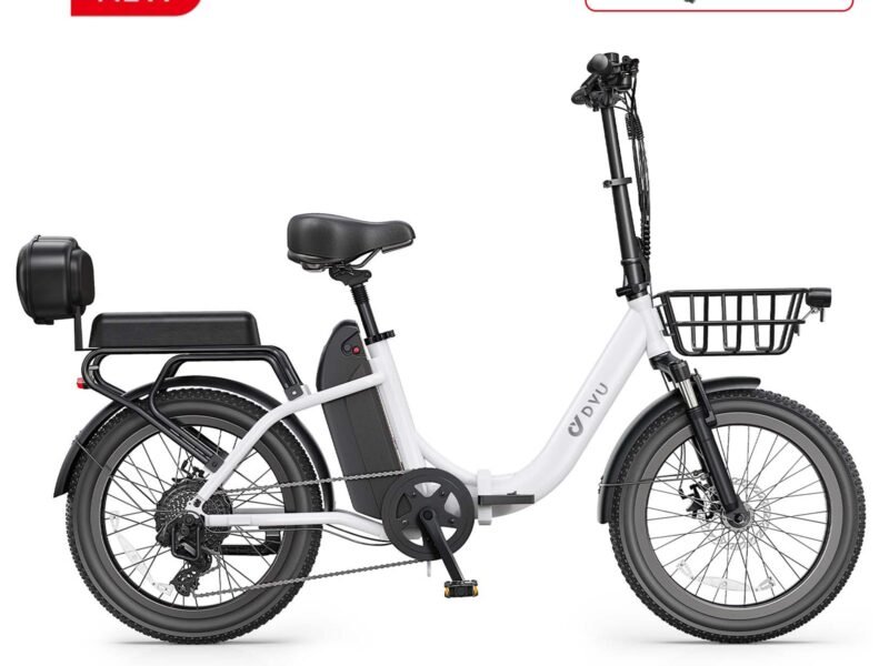 DYU C9 20 Inch Long-Range ebike - White