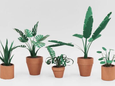 "Paper plants" craft kit
