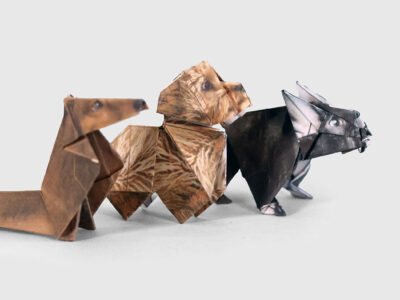 "Paper pups" dog origami set