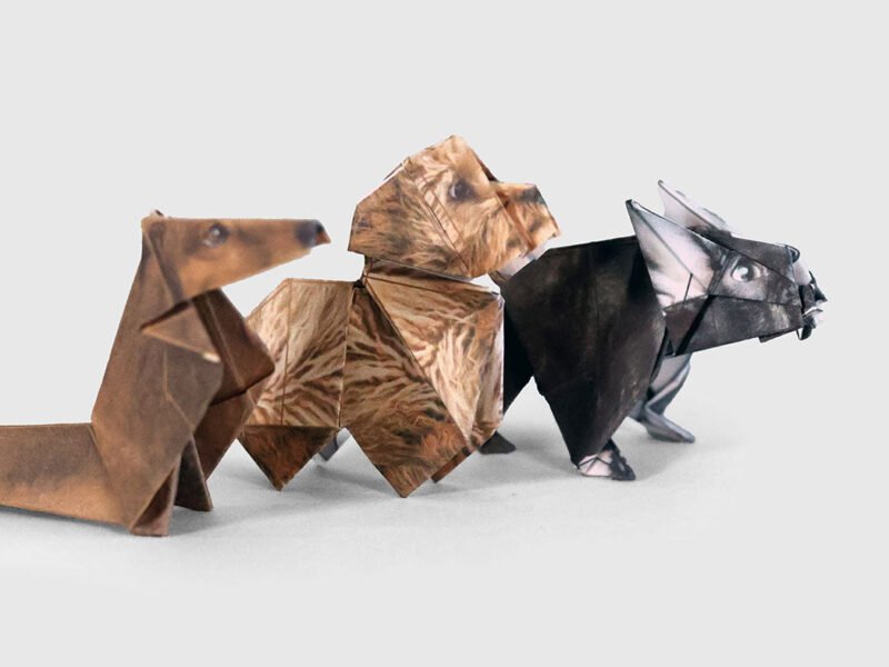 "Paper pups" dog origami set