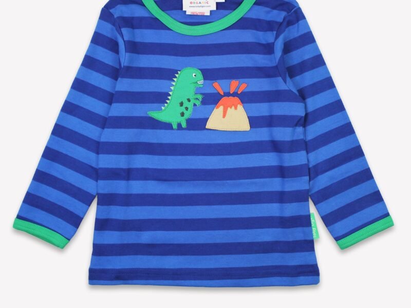 Organic Blue Tonal Dinosaur Applique Long-Sleeved T-Shirt - 5-6y / 116cm