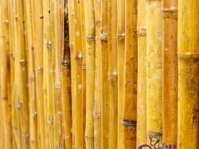 Thick Carbonised Caramel Bamboo Fencing Screening Roll 1.9m x 1.8m (6ft 2in x 6ft) - | Papillon™