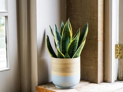 Bamboo Grey Planter