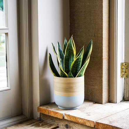 Bamboo Grey Planter